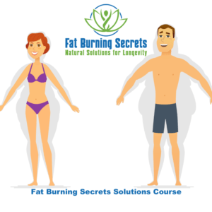 The 'Fat Burning Secrets Solutions' course