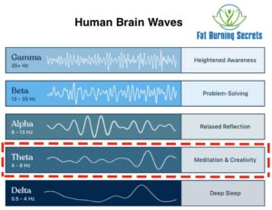 Theta waves are brain waves ranging from 4 to 8 Hz