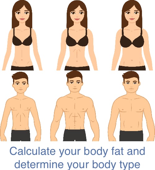Determine your body type and body fat